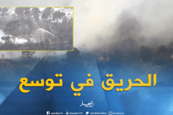 صعوبات كبيرة في إخماد حريق جبل بوعريف بباتنة