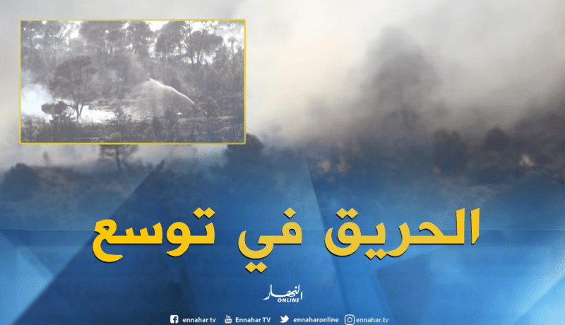 صعوبات كبيرة في إخماد حريق جبل بوعريف بباتنة