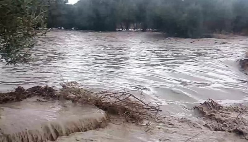 الجلفة.. إنقاذ 4 أشخاص عالقين داخل مركباتهم وسيول جارفة تهدّد رؤوس المواشي