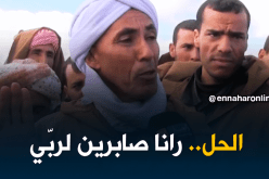 صريح جدا/ المضاربة في الشعير..تثير إستياء الموالين الجزائريين!!
