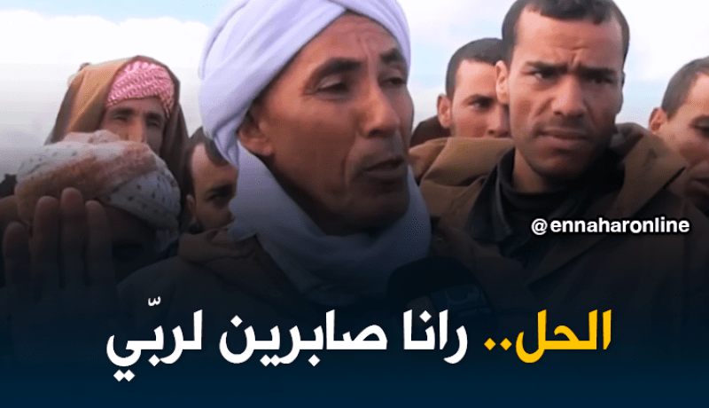 صريح جدا/ المضاربة في الشعير..تثير إستياء الموالين الجزائريين!!