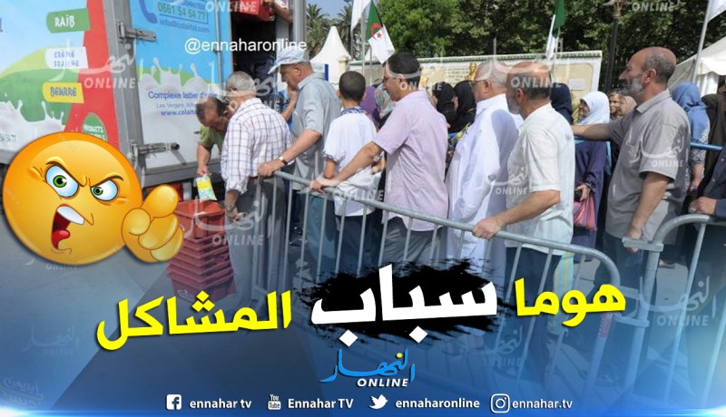 مدير ديوان الحليب: نستورد 600 مليون دولار بودرة والموزعين وراء أزمة الحليب