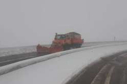 الحماية المدنية بالمدية تتدخل لإنقاذ 4 عائلات محصورة بمركباتها في تيبحرين