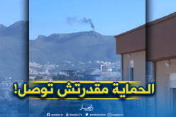 ضريح “ڨورايا” يحترق في بجاية!