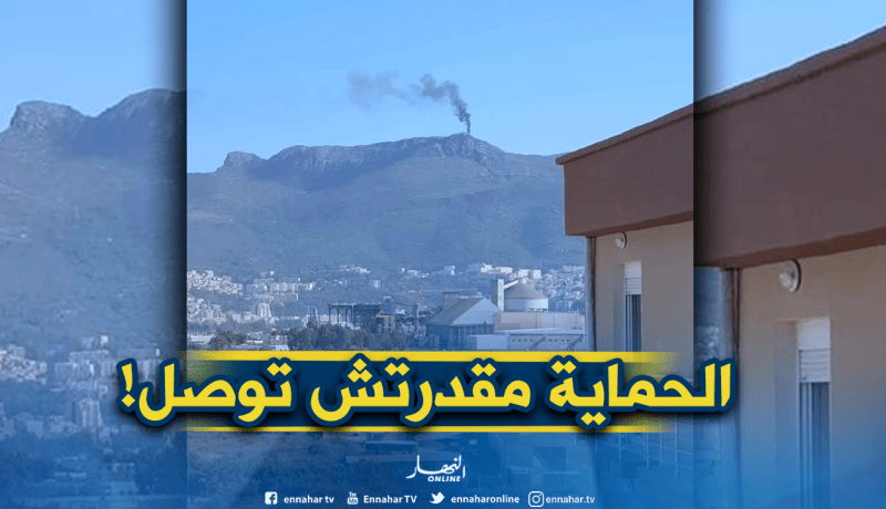 ضريح “ڨورايا” يحترق في بجاية!