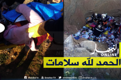 بالصور: إنقاذ عجوز سقطت في بئر بالمسيلة