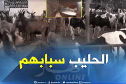 109 مصاب بداء الحمى المالطية في غرداية