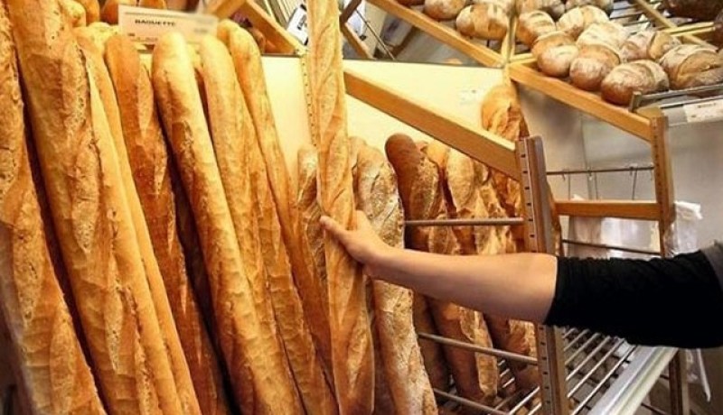 وزارة الفلاحة تبحث عن مواد جديدة لصنع الخبز بدل القمح اللين