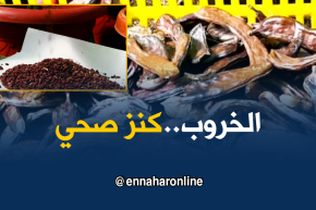 جيجل: شجرة الخروب..من كنز صحي بإمتياز إلى منتوج محلي قابل للتصدير