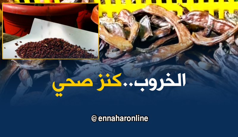 جيجل: شجرة الخروب..من كنز صحي بإمتياز إلى منتوج محلي قابل للتصدير