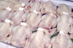 أوناب: نحو 29 ألف قنطار من اللحوم البيضاء سوقت خلال رمضان بسعر لم يتجاوز الـ250 دج للكلغ