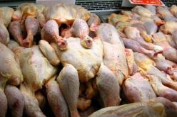 بطراوي: إستقرار أسعار اللحوم البيضاء خلال شهر رمضان الكريم