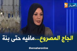 طبيبة بيطرية.. صعق الدجاج طريقة تجارية محضة ولحمه أقل جودة