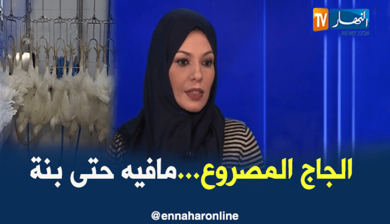 طبيبة بيطرية.. صعق الدجاج طريقة تجارية محضة ولحمه أقل جودة