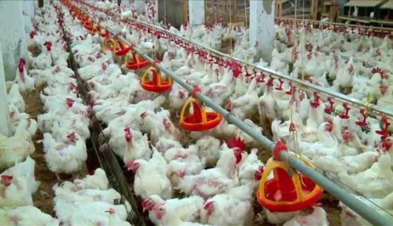 شركة رمشافي:حساباتنا غير مجمدة وهذه تفاصيل نزاعاتنا القضائية