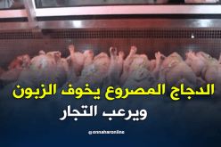 الدجاج المصروع.. نقص إقبال الزبائن وتخوفهم يرعب التجار