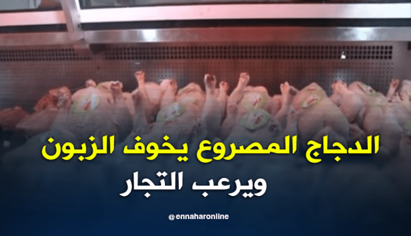 الدجاج المصروع.. نقص إقبال الزبائن وتخوفهم يرعب التجار