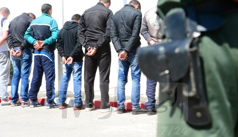 البيض: توقيف 11 شخصا بتهمة تكوين جماعة أشرار تمتهن سرقة المواشي