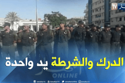 بالفيديو..عمليات مداهمة مشتركة بين الدرك الوطني والشرطة في غابات وشواطئ مستغانم