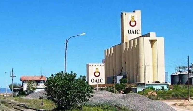 الديوان المهني للحبوب: نقاط التخزين ستبقى مفتوحة لغاية 30 سبتمبر المقبل