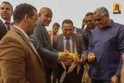 اتقافيات شراكة للمجمع الوطني لتغذية الأنعام لشراء منتوج الذرة بأدرار