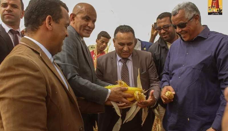 اتقافيات شراكة للمجمع الوطني لتغذية الأنعام لشراء منتوج الذرة بأدرار