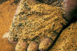 عرقاب.. استغلال الذهب صناعيا يتطلب البحث عن شريك أجنبي بقاعدة 51/49