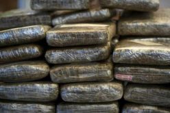 ضبط أزيد من 3 قناطير من الكيف وتوقيف7 مهربين بالجنوب