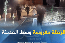 بالصور والفيديو.. العثور على شجيرات قنب هندي مغروسة وسط مدينة باتنة