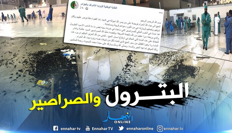 هذا تفسير الزوايا الأشراف لحادثة الصراصير في الحرم المكي