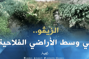 غليزان: المياه القذرة تهدد الأراضي الفلاحية والآبارببلدية بني درقن