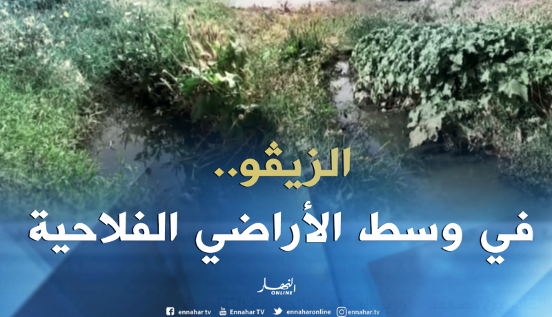 غليزان: المياه القذرة تهدد الأراضي الفلاحية والآبارببلدية بني درقن