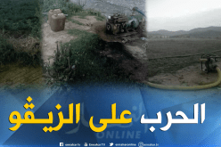 سطيف.. إتلاف 42.5 هكتار من المحاصيل المسقية بالزيڨو