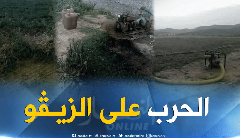 سطيف.. إتلاف 42.5 هكتار من المحاصيل المسقية بالزيڨو