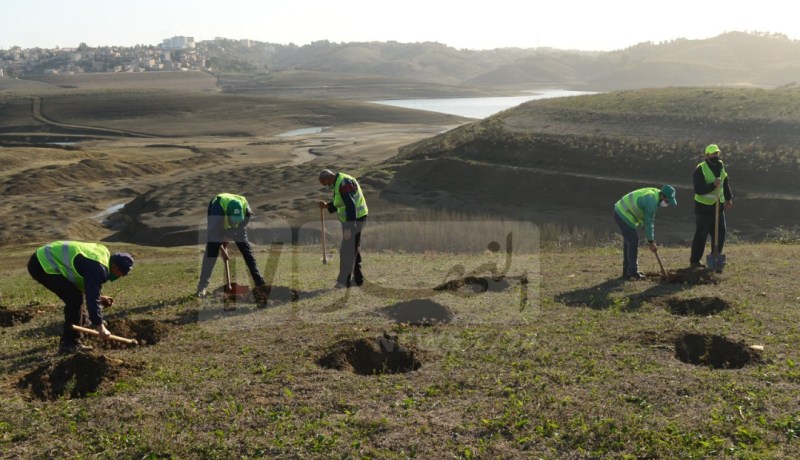 رسميا.. إطلاق تأهيل السد الأخضر غدا الخميس من المسيلة
