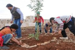 غرس أكثر من 43 مليون شجرة في إطار مشروع تأهيل وتوسيع السد الأخضر