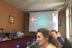 بالصور.. السفيرة الدانماركية تدعو إلى تعزيز العلاقات في القطاع البحري