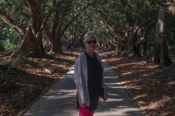 بالصور.. السفيرة الكندية منبهرة بجمال حديقة الحامة