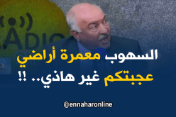 الإتحاد العام للفلاحين: السّهوب كلها أراضي “اخطيكوم من أرض لزهاري”