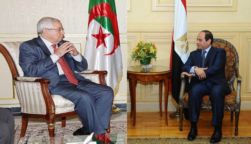 الرئيس المصري السيسي يستقبل بن صالح في شرم الشيخ