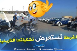بالصور.. الشرطة تستعرض سياراتها ودراجاتها النارية القديمة