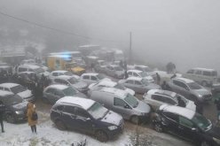 عودة حركة المرور إلى طبيعتها بالطريق الوطني 37 الرابط بين بلديتي الشريعة والبليدة