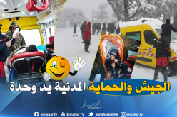 بالصور.. الجيش والحماية المدنية لمساعدة العالقين في جبال الشريعة