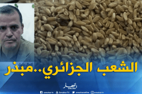 الجزائريون يستهلكون إجماليا يفوق 10 ملايين طن سنويا من القمح