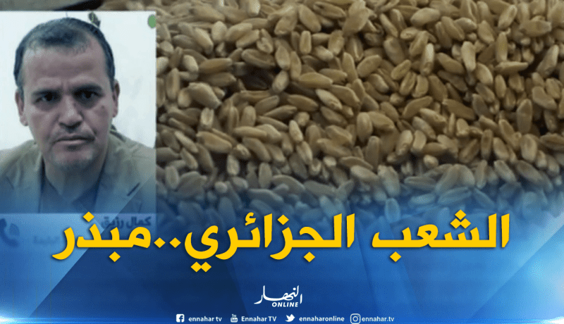 الجزائريون يستهلكون إجماليا يفوق 10 ملايين طن سنويا من القمح