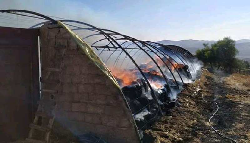 الشلف.. إندلاع حريق مهول بمستثمرة فلاحية في بنايرية