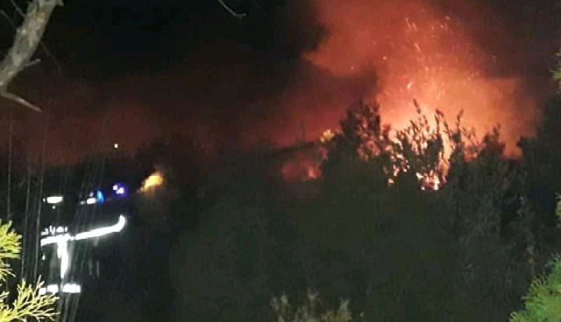 الشلف.. الحرائق تلتهم 99 ألف هكتار من الثروة الغابية منذ إنطلاق الموسم