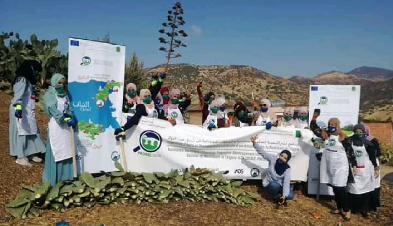 الشلف.. إختتام فعاليات تكوين 16 إمرأة ريفية حول إستغلال التين الشوكي