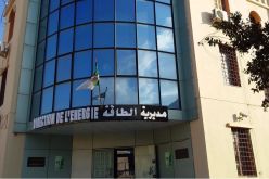 الشلف.. تزويد أزيد من 10 آلاف مسكن بمناطق الظل بالغاز قبل نهاية السنة