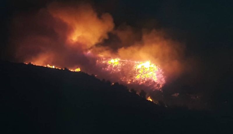 الشلف.. إندلاع حريقي غابة في تنس وبني حواء